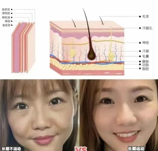 明星谁喜欢健身_健身明星喜欢吃什么_喜欢健身的明星