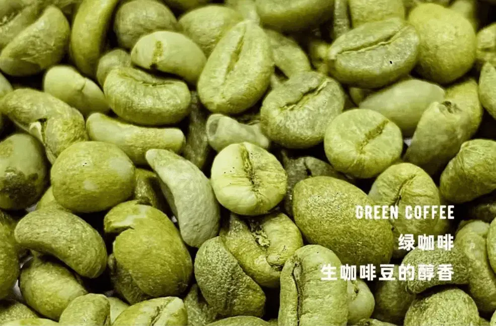 喜欢健身的女艺人_明星谁喜欢健身_喜欢健身的明星